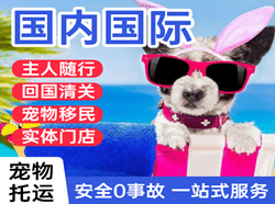 梅州梅县空运地址国际宠物托运 【国